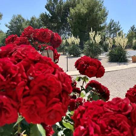 Vila Tovarovica Primošten