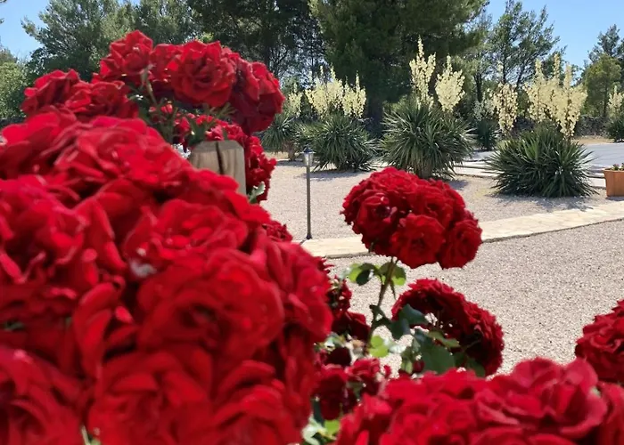 Apartamento Tovarovica Primošten